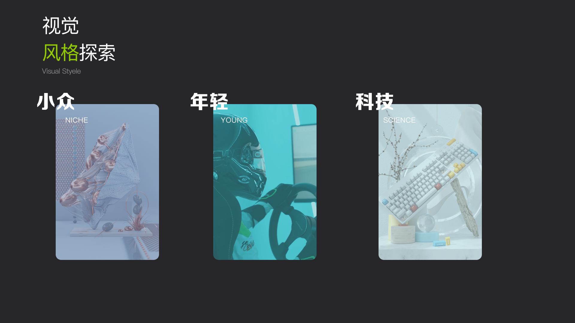 CAMMUS 赛车模拟器项目图 05