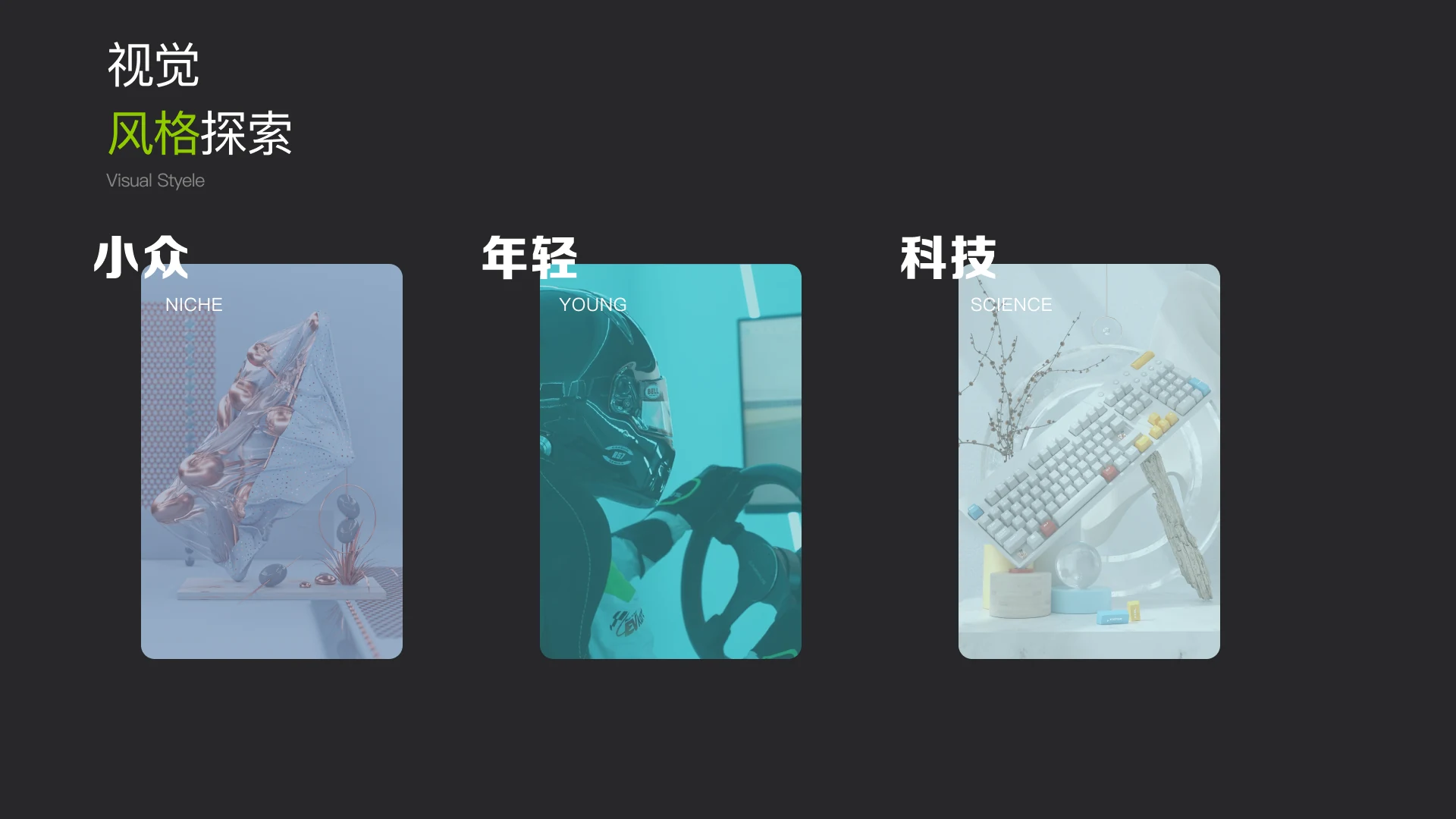 CAMMUS 赛车模拟器项目图 05